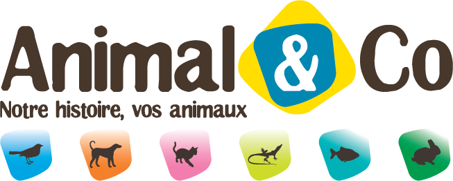 logo Animal & Co