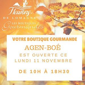 O Green - Fleurons de Lomagne est ouvert le 11 novembre ! - ee34cef9 b504 4671 955d 6febfabb326b 1 - 1